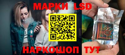 СК Надым