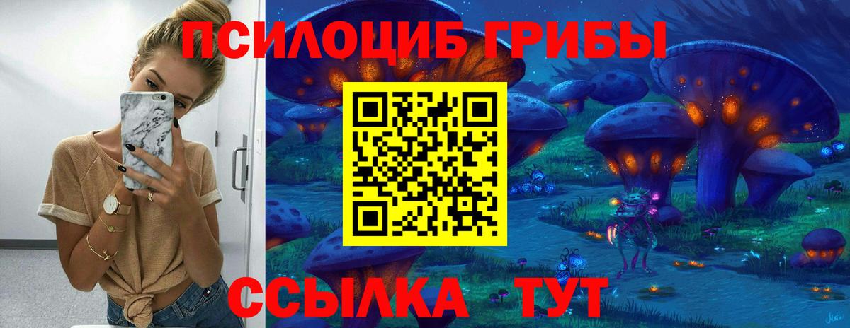 Елизово  Галлюциногенные грибы GOLDEN TEACHER  Вход с VPN 