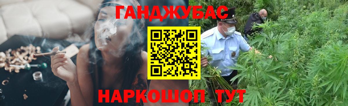 Бошки марихуана марихуана  Вход с VPN  Елизово  Шишки марихуана сатива 